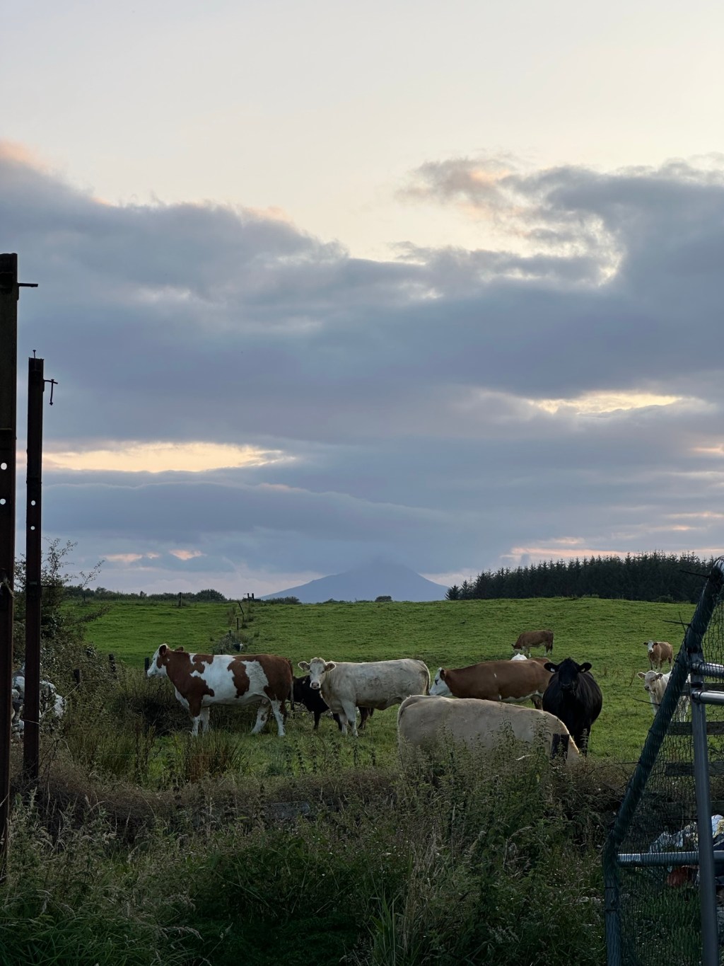 Day 5 – Seaside Sligo Stop and Arrival in&nbsp;Mayo