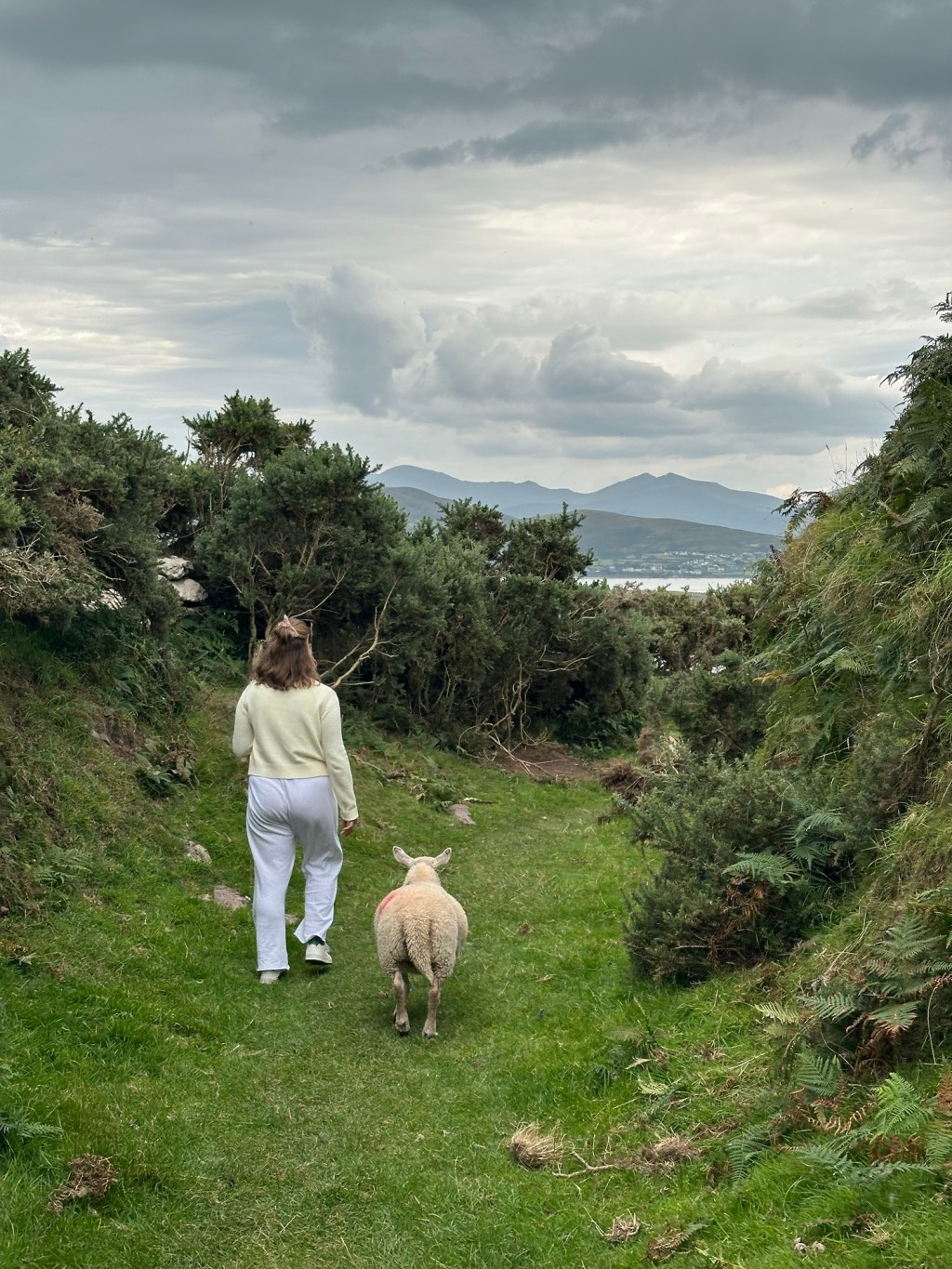 Day 9 – County Kerry&nbsp;Continued!